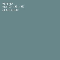 #67878A - Slate Gray Color Image